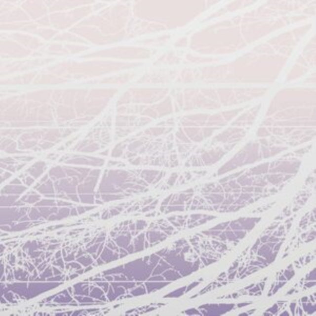 Metal Aether / Resonant Field (2LP)