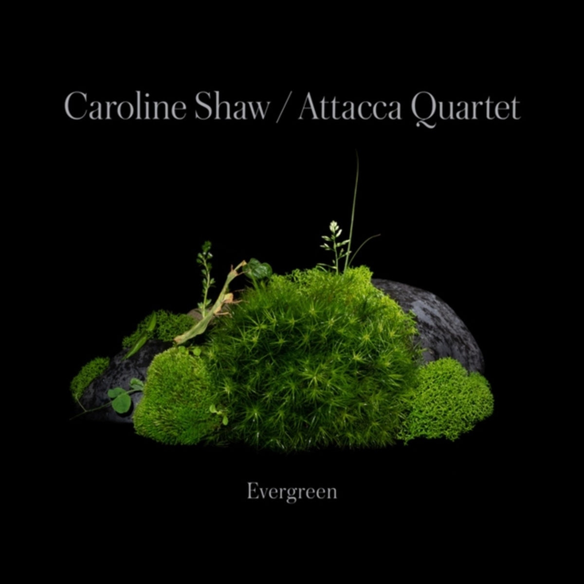 Caroline Shaw: Evergreen