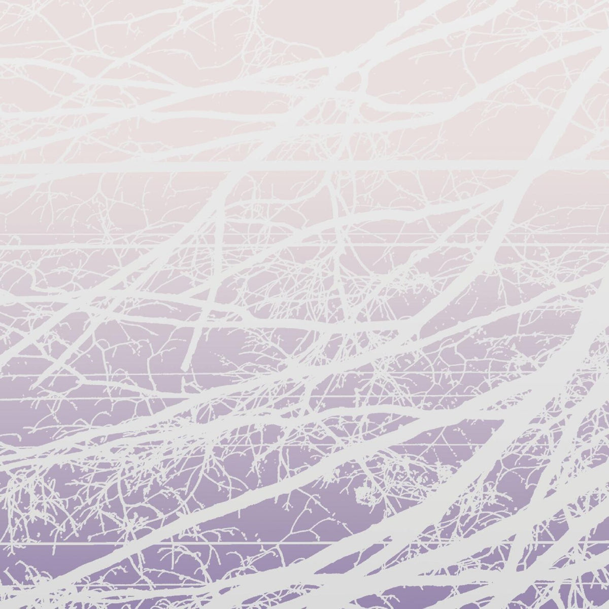 Metal Aether / Resonant Field (2LP)