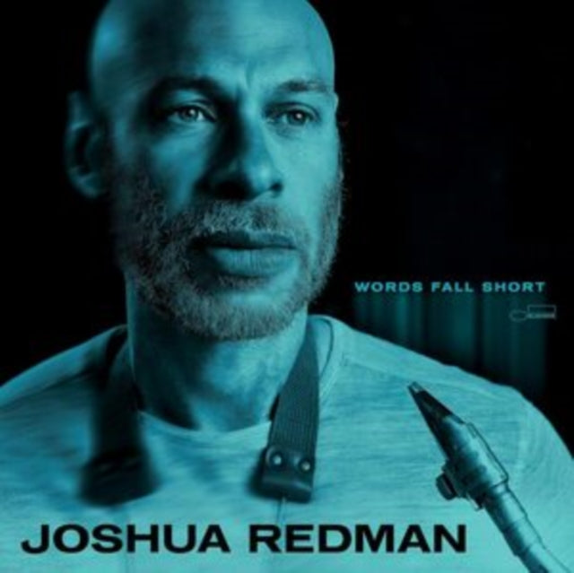 Words Fall Short (180G)